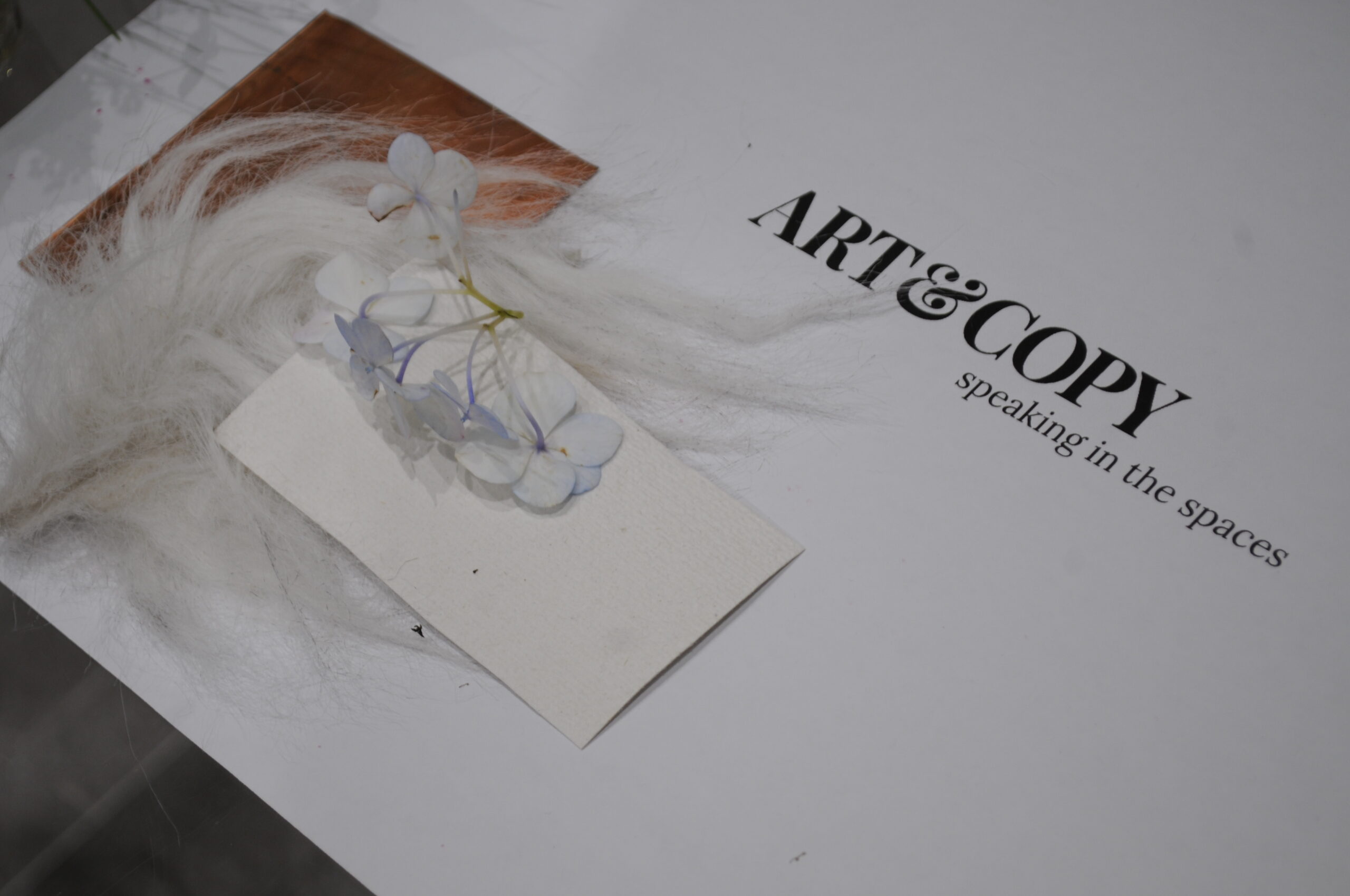 Image:Thumbnail