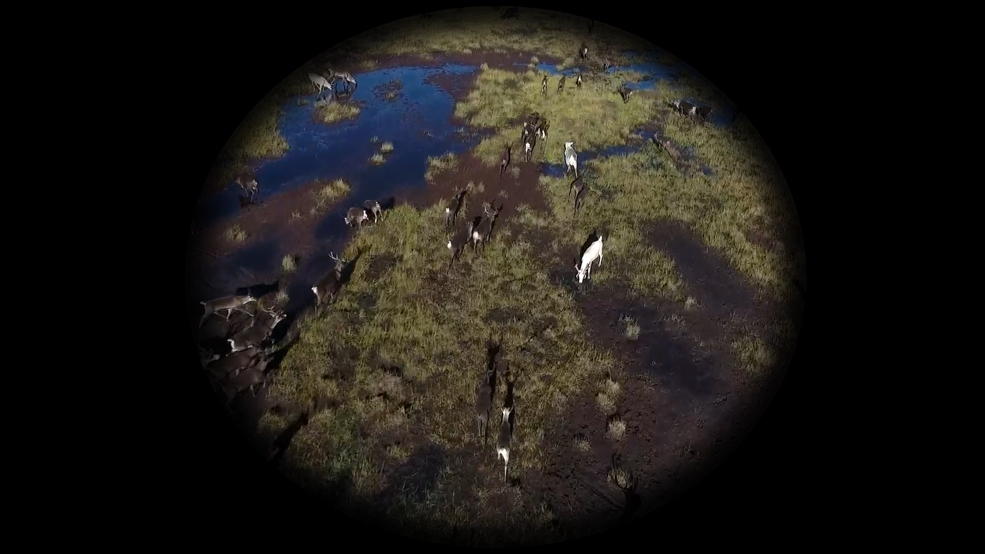 Image:Thumbnail