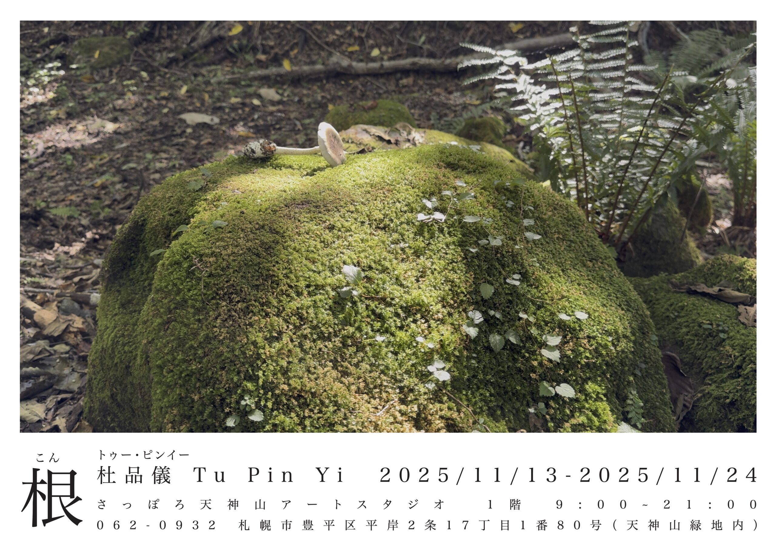 画像：記事のアイキャッチ