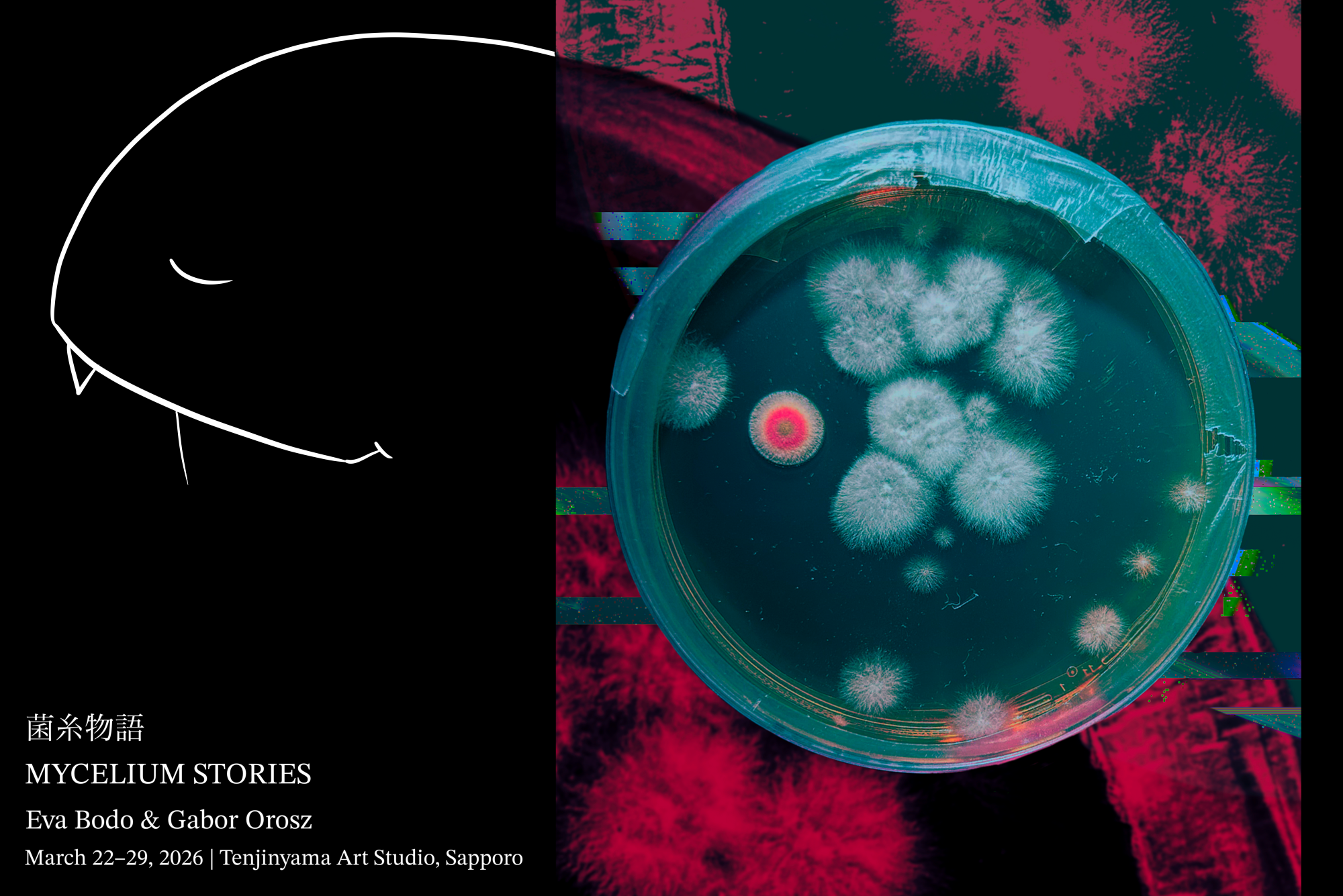 画像：記事のアイキャッチ
